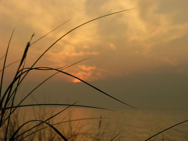 P7290009