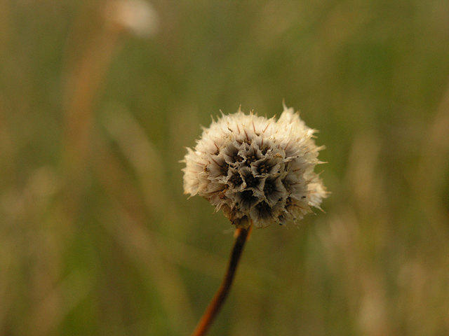 P7290014